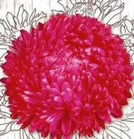 Насіння квітів "від Лазаревих" Астра червона Ротер Турм 1 гр