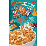 Пластівці Kellogg's Frosted Flakes Pumpkin Spice 484g (термін до 16.05.2024), фото 4