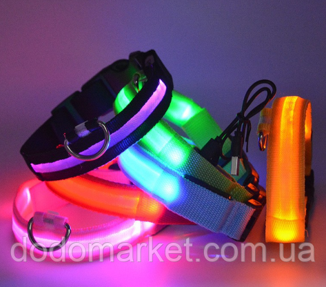 Світний нашийник для собак на акумуляторі, Розмір М (USB-зарядка), фото 1