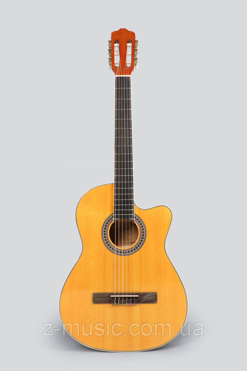 Гітара класична 4/4 Deviser L-330 YN