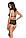 Боді Еротична прозора жіноча DELIENA BODY S/M - Passion Чорний ( SO8416 ), фото 2