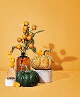 Makesy Аромаолія Pumpkin & persimmon / Гарбуз + хурма, 10 грамів для свічок