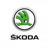 Килимки для Skoda