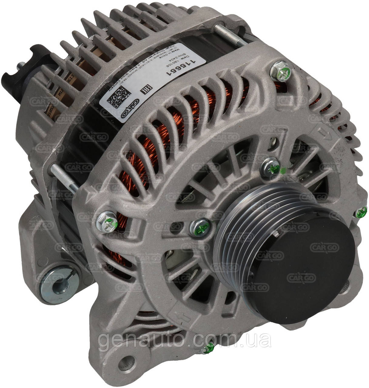 Генератор Рено Сценік, Меган, Лагуна, Дачія Лоджі 1.5 dCі 2005-, 210А відновлений, фото 1
