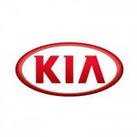 Килимки для Kia