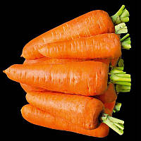 Шантане Красное Cердце семена моркови, 1 г Среднеспелый сорт (105-110 дней) LEDAAGRO
