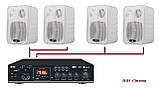 Трансляційне аудіо обладнання DV Audio Control-1 Black 100В 40Вт фонове озвучування, фото 9