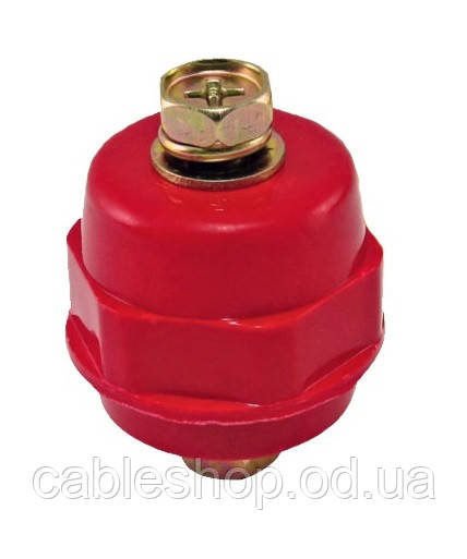 Ізолятор SM25S М6 з болтом TNSy