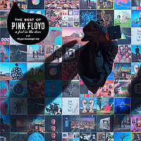 Pink Floyd - A Foot In The Door (The Best Of Pink Floyd) (2LP)