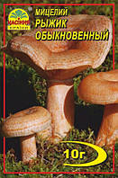 Мицелий грибов Насіння країни Рыжик 10 г IS, код: 7718799