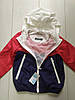 Куртка-вітрівка  синьо-червона Primark 104см, фото 2
