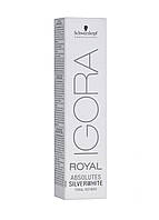 Фарба для волосся Schwarzkopf Professional Slate Grey IGORA ROYAL Absolutes Silver Whites 60 мл SC, код: 7769419