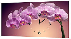 Настінний годинник Декор Карпати 53х29 Орхідеї (53х29-c165) NC, код: 116654