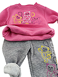 Спортивний костюм дитячий Туреччина 1, 2, 3 роки на флісі теплий трикотажний рожевий (КДМ110), фото 5