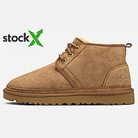 Ботинки UGG 0210 Neumel Chestnut