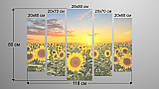 Модульна картина Poster-land Соняшники Art-49_5 SC, код: 6502332, фото 3