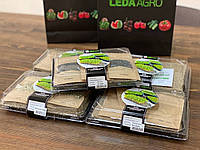 Семена Набор для выращивания микрозелени Микс Вкуса (кресс-салат,горчица,лук) LedaAgro