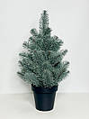 Ялинка лита Premium у горщику 50 см блакитна, фото 5