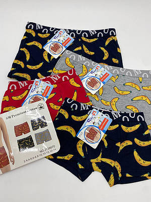 Дитячі боксери для хлопчиків Ghlain Klain JT38670