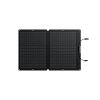 Солнечная панель EcoFlow 60W Solar Panel