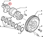 Шпонка колінвала 13х6-7 мм Fiat Ducato 244, Peugeot Boxer, Citroen Jumper (02-06) 2.0/2.2JTD/HDi, 7903070005, фото 4