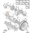 Шпонка колінвала 13х6-7 мм Fiat Ducato 244, Peugeot Boxer, Citroen Jumper (02-06) 2.0/2.2JTD/HDi, 7903070005, фото 5