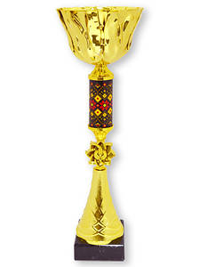 Кубок ДТ3 — 505