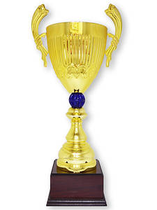 Кубок ДТ3 — 536