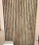 Brick Ясень Thermo Wood, фото 7