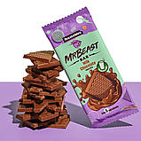 Шоколад Feastables MrBeast Milk Chocolate Bar 35 g, фото 6