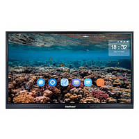 Интерактивная доска 65" STARBOARD TE-QS1-65 16:9 Multi-Touch