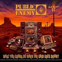 Public Enemy – What You Gonna Do When The Grid Goes Down? (LP, Album, Special Edition, Stereo, Vinyl)