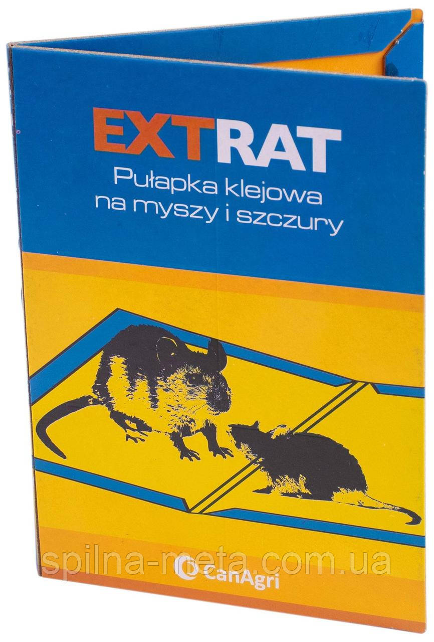 Клейова пастка для мишей і щурів XL з приманкою, 31 x 21 см, Ratimor Extrat, фото 1