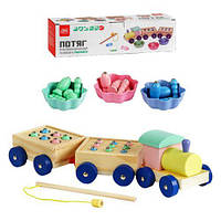 Сортери і Геометрика