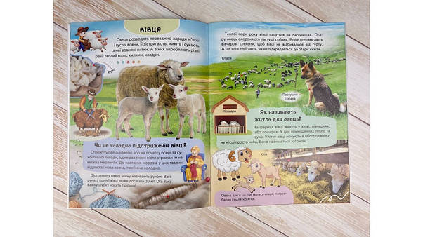 Дитяча енциклопедія "Ферма. Унікальні факти, цікава інформація про домашніх тварин" | Пегас, фото 4