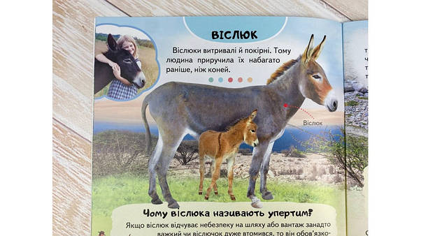 Дитяча енциклопедія "Ферма. Унікальні факти, цікава інформація про домашніх тварин" | Пегас, фото 5