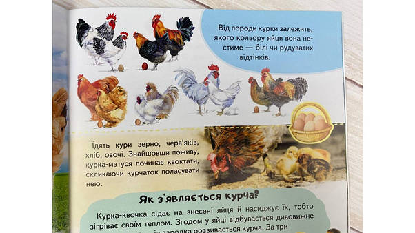 Дитяча енциклопедія "Ферма. Унікальні факти, цікава інформація про домашніх тварин" | Пегас, фото 6