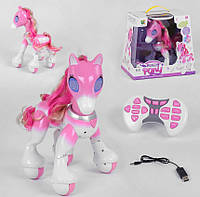 Поні на р/в 807, світло, звук, сенсорне управління, в коробці (6968205080248)