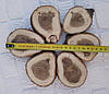 Зрізи дерева для творчості, рукоробства, шліфовані, набір 6 шт., фото 5