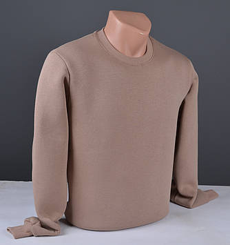 Чоловічий світшот утеплений на флісі великого розміру темний беж Туреччина 6136 Б