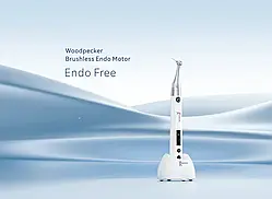 Ендомотор Woodpecker Endo Free