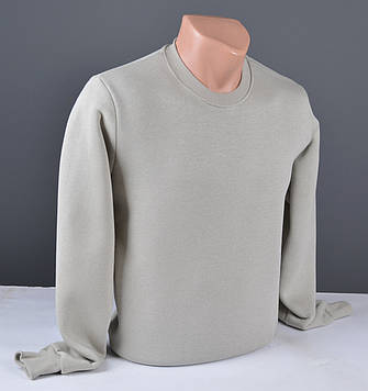 Чоловічий світшот утеплений на флісі великого розміру сірий Туреччина 6138 Б