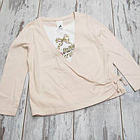 110 4-5 года (104) лонгслив футболка с длинными рукавами трикотажная кофточка блузка для девочки 1100 РЗВ