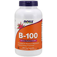В комплекс NOW Foods Vitamin B-100 250 Veg Caps CP, код: 7518616