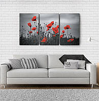 Модульна картина Poster-land Квіти Маки Аrt-215_3А BS, код: 6502626