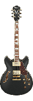 Электрогитара IBANEZ AS73G BKF