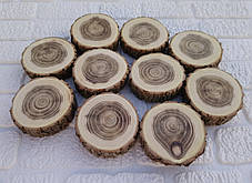 Зріз дерева для декору, рукоділля, шліфований з двох сторін 10 шт.(6-7 см), фото 3