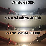 Світлодіодний модуль COB LED 2B5C 5 W 6000 K Холодний білий (2011: 20 mm / 11 mm), фото 6