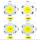 Світлодіодний модуль COB LED 2B5C 5 W 6000 K Холодний білий (2011: 20 mm / 11 mm), фото 3
