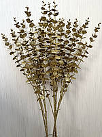 Гілки золотого евкаліпта. Евкаліпт золотий ( гілка на п'ять розгалужень 86 см), фото 8